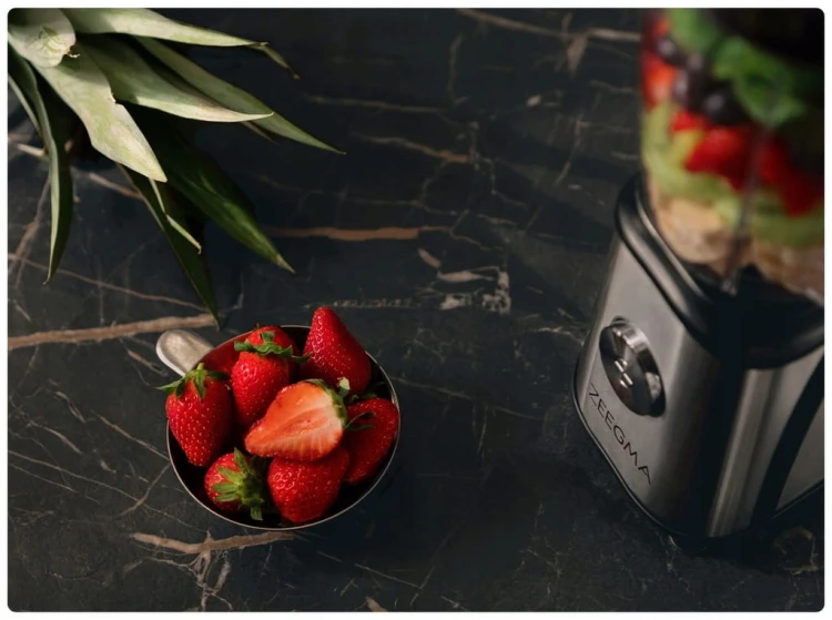 Blender kielichowy Zeegma Vitamine 1050 W srebrny