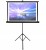 PROJEKTOR OVERMAX MULTIPIC 4.2 LED FULL HD WIFI BLUETOOTH EKRAN NA STATYWIE