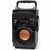 SQUEAK SQ1001 GŁOŚNIK PRZENOŚNY BT 18W FM MP3 USB SD GŁOSNIK BLUETOOTH