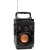 SQUEAK SQ1001 GŁOŚNIK PRZENOŚNY BT 18W FM MP3 USB SD GŁOSNIK BLUETOOTH