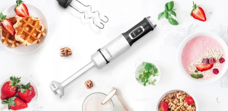 BLENDER RĘCZNY WIELOFUNKCYJNY 5w1 ZEEGMA 1500W Handy Chef